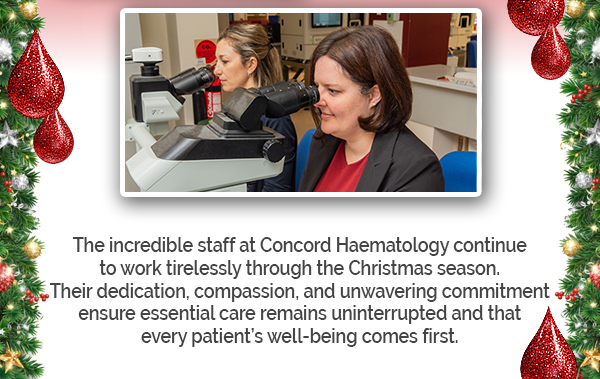 ABGC Christmas Newsletter 2025