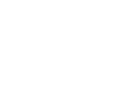 Foundation for a Bloody Great Cause